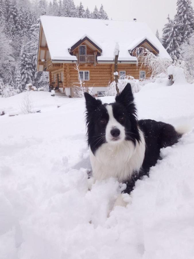 Chalet Le Dorf Nötsch Екстериор снимка
